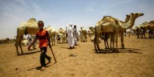 Many nomads came from Arab tribes who supported Omar al-Bashir's brutal war against rebels of African descent in Darfur that broke out in 2003. By ASHRAF SHAZLY (AFP)