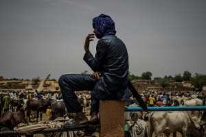 Many Fulani have had to abandon herding and settle down in towns in bid to feed their families. By Marco LONGARI (AFP)