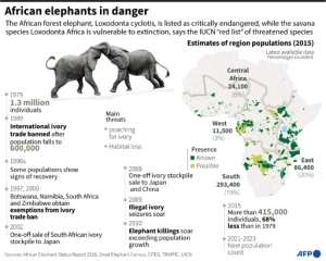 Map showing the population of African elephants and a timeline of measures to protect them. By Kun TIAN (AFP)