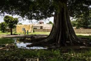 Mbodiene is a sleepy hamlet around 100 kilometres south of the capital Dakar. By JOHN WESSELS (AFP)
