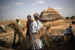 Men rebuild a hut at a camp in Dosso. The nomadic lifestyle is highly vulnerable to climate change, especially altered rainfall patterns. By Marco LONGARI (AFP)