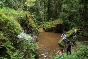 Mining bauxite reserves has been talked about for at least a decade in the Kyebi forest reserve.  By CRISTINA ALDEHUELA (AFP)