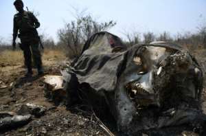 Poachers are known to poison carcasses to target vultures as the birds circle in the sky and help rangers to track poaching activity. By MONIRUL BHUIYAN (AFP/File)