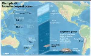Map showing ocean trenches up to 10 km deep where scientists found tiny shrimps which had ingested microplastics.. By Jonathan WALTER (AFP)