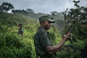 Rangers from Kahuzi-Biega National Park visit the devastated areas of the park. By ALEXIS HUGUET (AFP)
