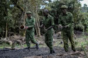 Rangers have been giving nature a helping hand by scattering seedballs by any means possible. By TONY KARUMBA (AFP)