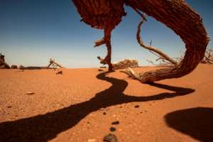Remote archaeological sites in Sudan are being targeted by people believing they can find buried gold beneath the sand. By Ebrahim HAMID (AFP Photo)