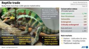 Graphic on the findings of a study on the traffic in endangered reptiles.. By John SAEKI (AFP)
