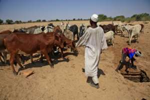 Residents return to the South Darfur village of Hamada on February 3, 2021 after long displacement. By ASHRAF SHAZLY (AFP/File)
