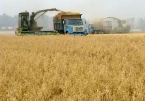 Russian grain exports to Africa represent a significant amount of overall trade and are especially important for Egypt. By YURI KADOBNOV (AFP)