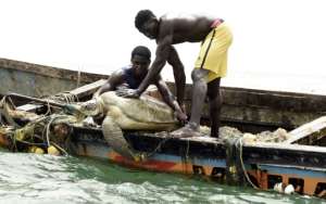 Senegalese fishermen rescue a sea turtle from their nets and return it to the sea. By Seyllou (AFP)