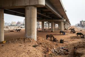 Senegal's livestock ministry estimates the number of cart drivers in Dakar at about 7,000 -- and rising. By JOHN WESSELS (AFP)