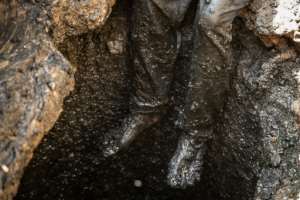Septic tank workers are directly exposed to faeces. Cuts can lead to serious infections. By OLYMPIA DE MAISMONT (AFP)