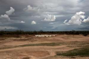 Sheep cluster together as storm clouds gather near Barkedji. By JOHN WESSELS (AFP)