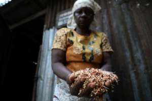 Sorghum, along with millet, provides the ooomph to burukutu. By Kola Sulaimon (AFP)