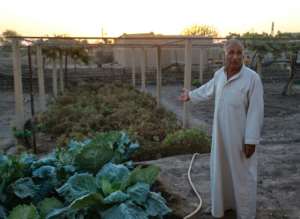 Syrian farmer Dakhil Mohammed says 'farming has become a loss-making business' and warns his family is already selling their women's gold and furnishings to buy seeds for next year. By Delil SOULEIMAN (AFP)