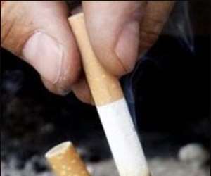 Tobacco