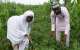 World Food Day: Revisiting the GMO conversation