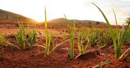Land Conference Ends With Call For Actions To Help Root Corruption Out Of Sector