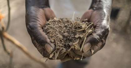 Degeneration to Regeneration: Repairing Soil Health for the Future of Land & Sea Life