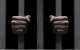 Roll Call Of NDC Jailbirds
