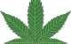 Cannabis is God's plant