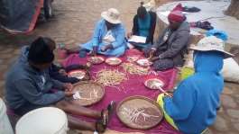 Smallholder farmers sorting seeds of small grains in Chipinge, Zimbabwe. -  FAO