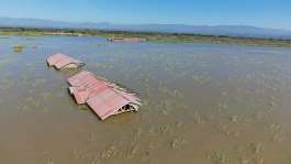 Kenyas Lake Baringo has been rising for several months, following above-average rainfall. -  Environmental and Climate Change Group