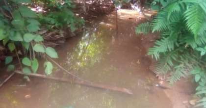 Residents of Mim Feteagya Share Drinking Water With Animals