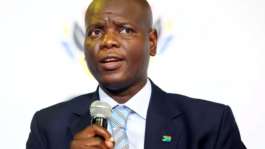 No room for mob justice in addressing migration challenges — South Africas Foreign Minister