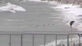 A file photo showing migrants swimming towards the shore on Moroccan side of border, in Ceuta, Spain on July 26, 2025. -  Faro TV via Reuters