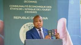 Ministry of Foreign Affairs assures speedy restoration of passport website after technical outage