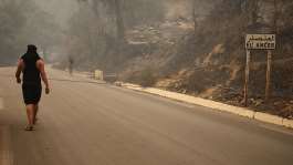 A man walks along a road bordering a forest scorched by a wildfire in Jijel, northeast Algeria, 27 August, 2026. -  AP
