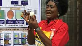 No age limit for egg consumption — GNEC