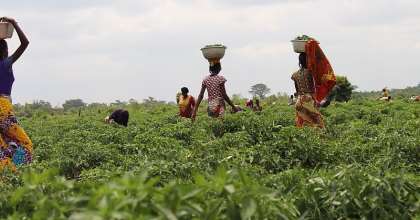 Complete Farmer Opens Smart Farming Platform To Buyers Globally