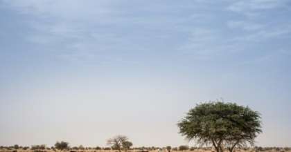 Farmers shelter under a mango tree to avoid the heat and sun on the road between Adre and Farchana, in eastern Chad in March 2019. By Amaury HAUCHARD (AFP/File)