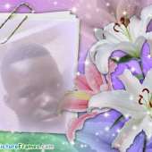 bismark kwame