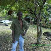 Roy David