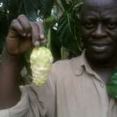 ters noni farm 