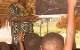 Slum Education: The Case of Abura St. Lawerence Primary/JHS