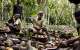 Child labour undermining sustainability in the cocoa industry