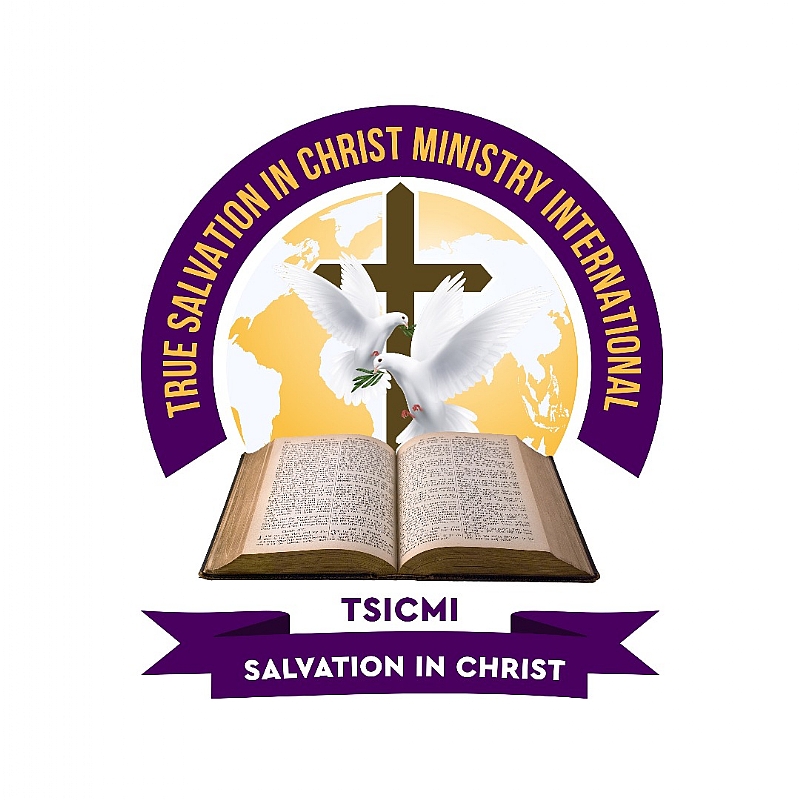 TSICMI TV